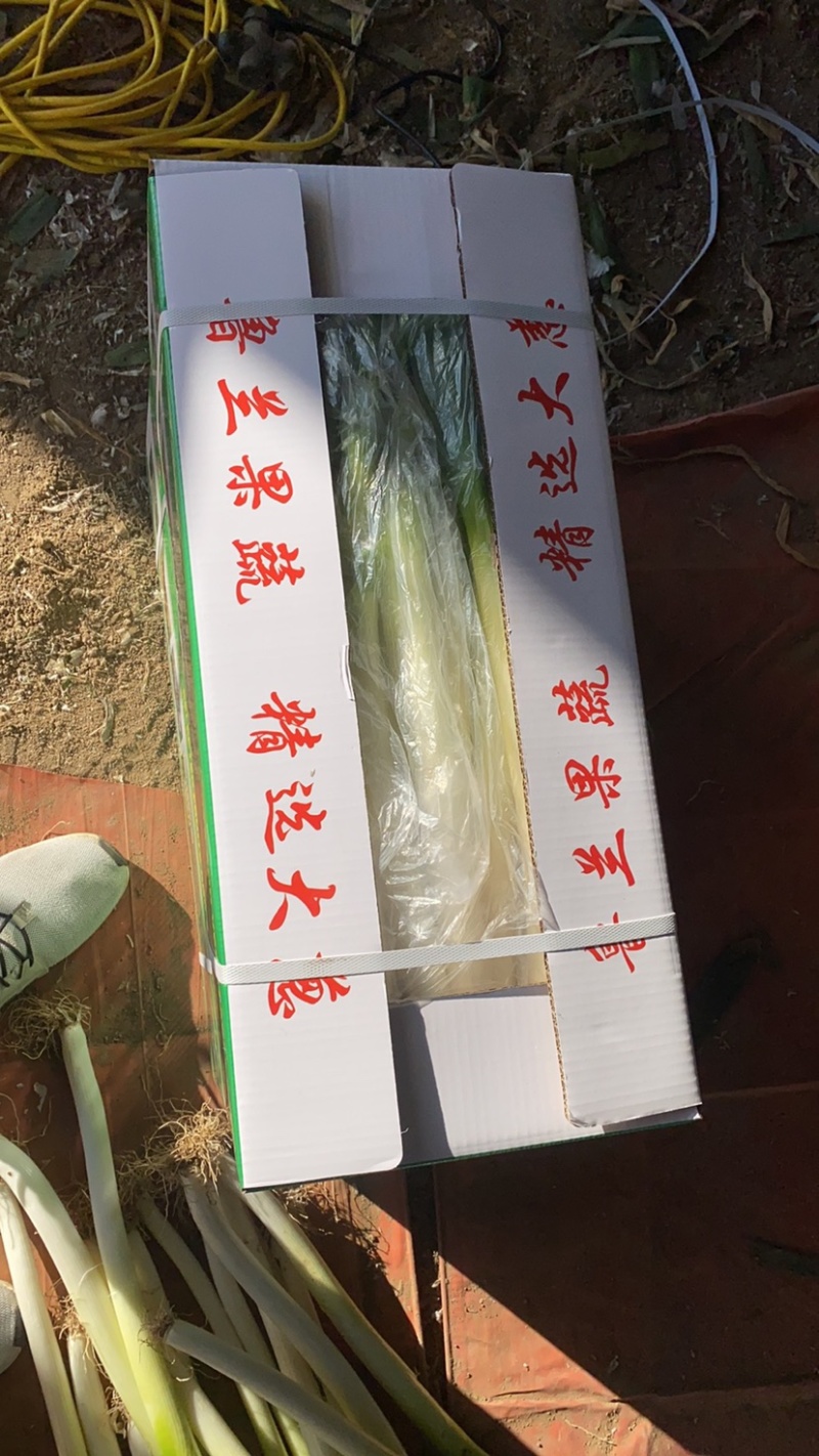三十斤一箱，无夹心，无细葱需要的联系，。