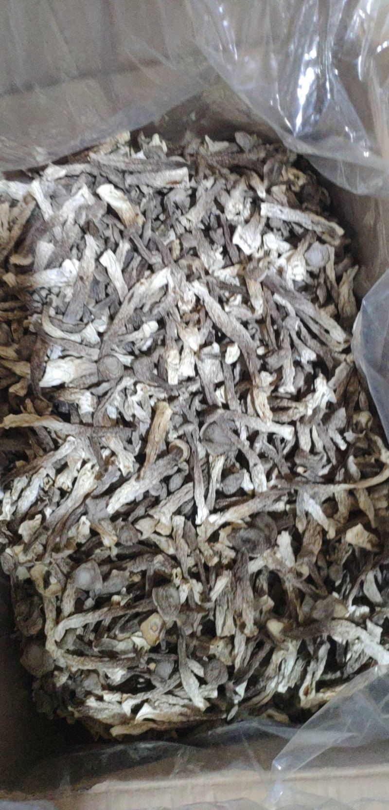 鹿茸菇、可定制包装！各种规格齐全、小包装、定制礼盒等