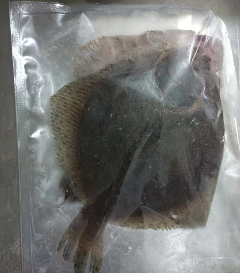 活冻多宝鱼，超便宜，3元一斤，2/3两，4/6两6元一斤