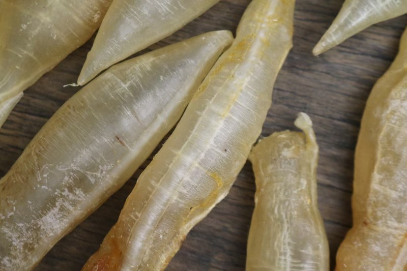 20头胀气金龙筒鱼胶花胶新鲜货足干不会发霉肉质好没有破洞