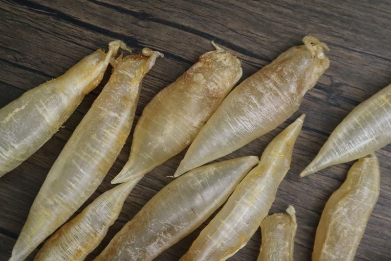 20头胀气金龙筒鱼胶花胶新鲜货足干不会发霉肉质好没有破洞