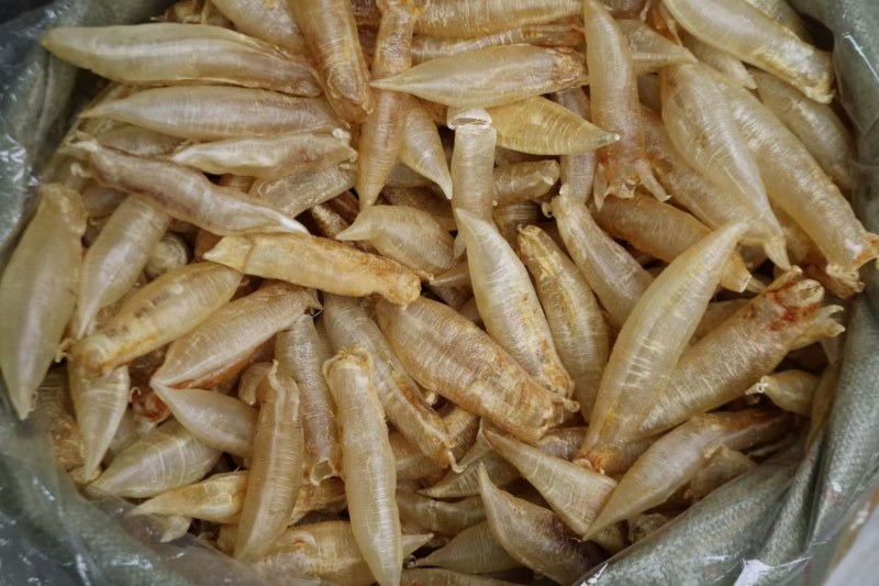 20头胀气金龙筒鱼胶花胶新鲜货足干不会发霉肉质好没有破洞