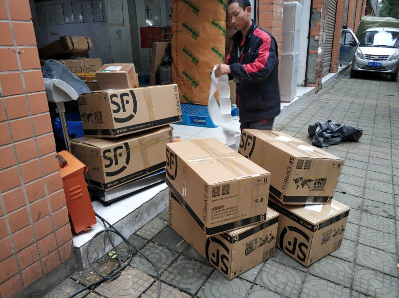 爱媛38号苗、红美人柑橘苗、柑橘苗、基地直发价格便宜