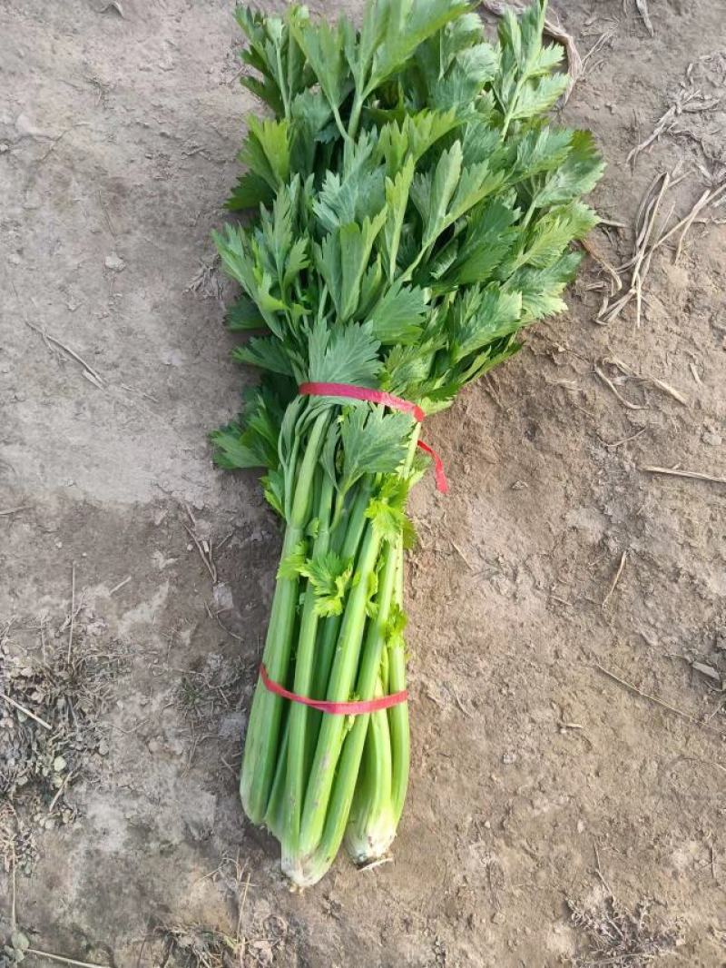 郭云农产品购销，专业代发，适合加工厂的货源，专供水饺厂货