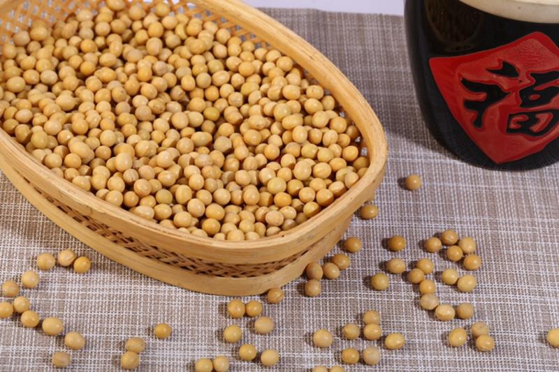黄豆现货批发豆制品专用大粒小粒商品豆东北特产大量