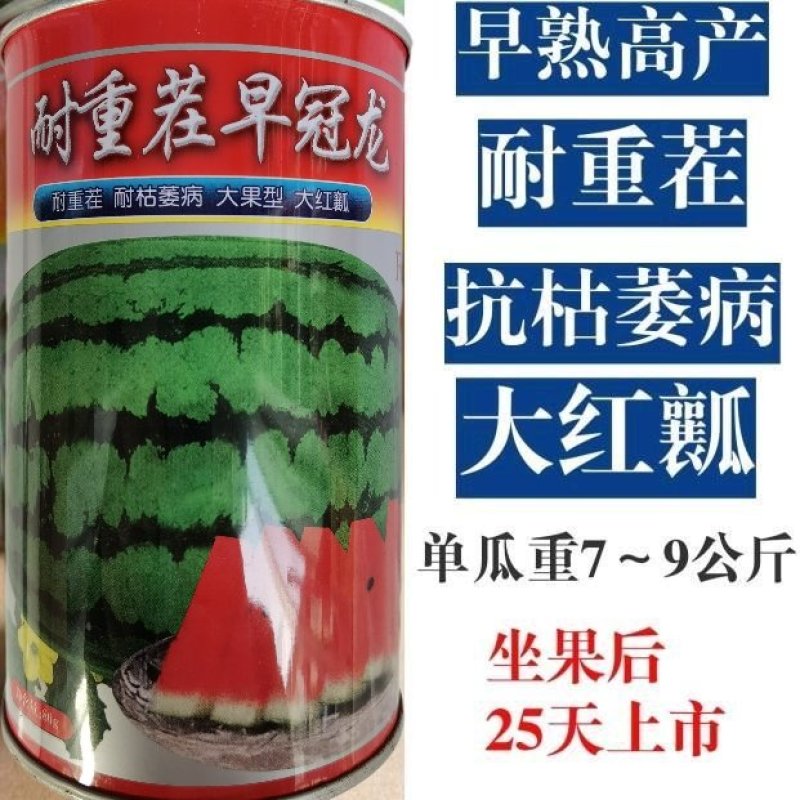 【早熟耐重茬】耐重茬早冠龙西瓜种子大红瓤特抗病25天