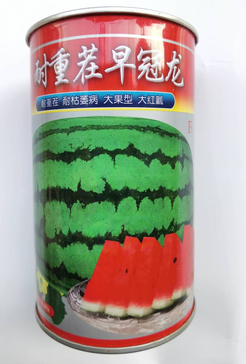【早熟耐重茬】耐重茬早冠龙西瓜种子大红瓤特抗病25天