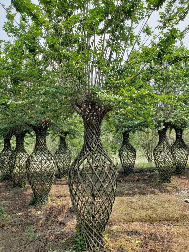 优质编织紫薇花瓶，四川花瓶基地出售，成都花瓶批发价格