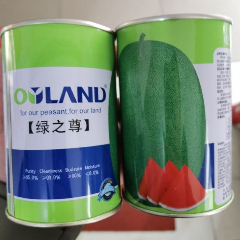 【纯绿皮】绿之尊西瓜种子耐重茬沙瓤大红瓤酥甜高糖