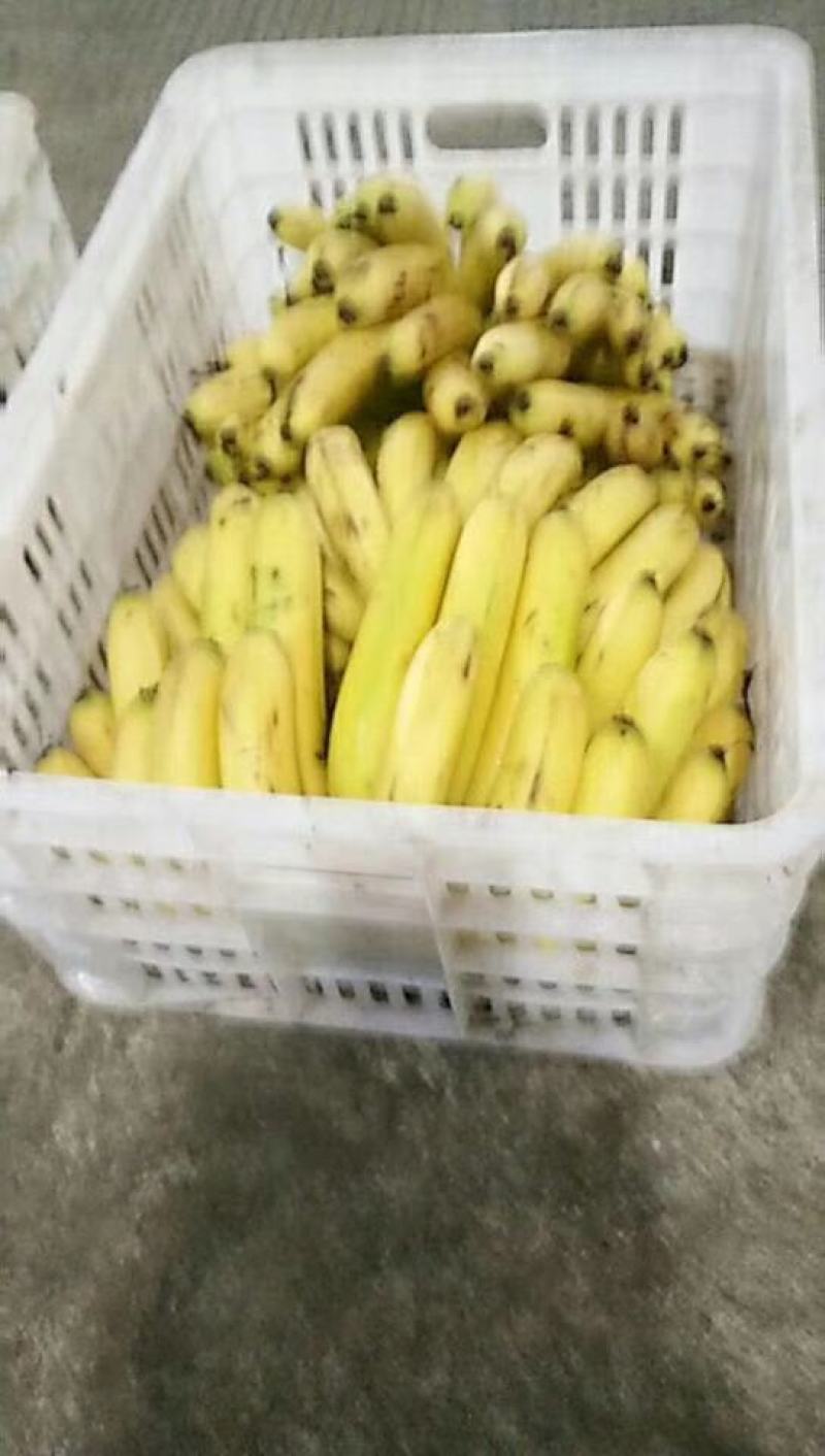 香蕉筐，瓜苗筐，水果筐