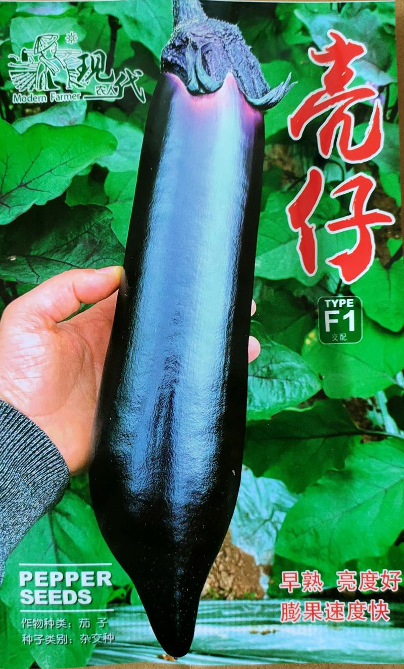 烧烤茄种子硬皮茄子种子耐运输颜色黑亮长一尺粗8公分