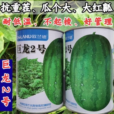 【高抗重茬】巨龙2号西瓜种子耐低温大果大红瓤懒汉龙卷风