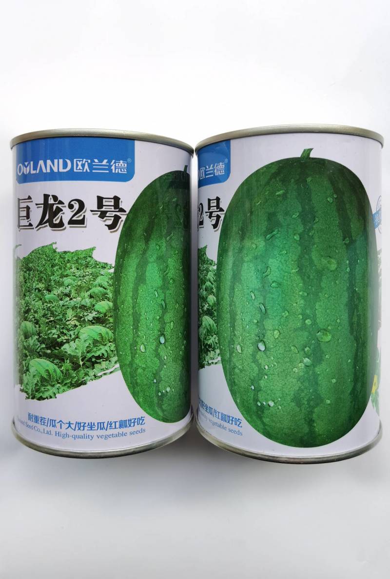 【高抗重茬】巨龙2号西瓜种子耐低温大果大红瓤懒汉龙卷风