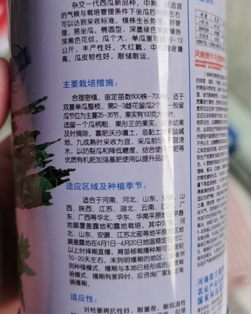 【高抗重茬】巨龙2号西瓜种子耐低温大果大红瓤懒汉龙卷风