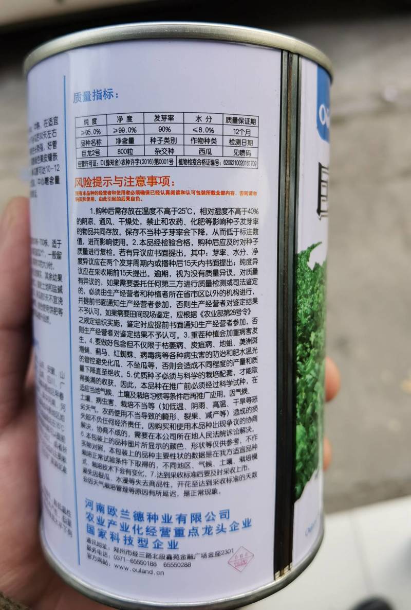 【高抗重茬】巨龙2号西瓜种子耐低温大果大红瓤懒汉龙卷风