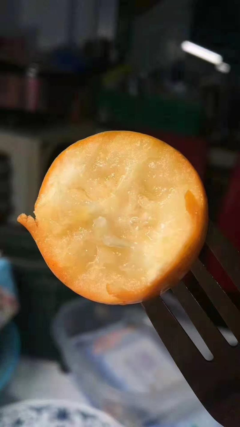 脆蜜金桔苗脆蜜金柑苗脆蜜金桔皮脆甜现挖现发