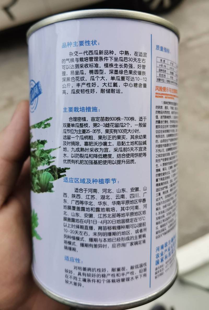 高抗巨龙西瓜种子抗重茬大红瓤特大果超龙卷风西瓜种子