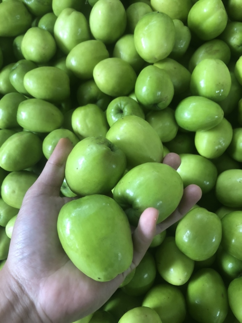 青枣