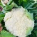 云南高原绿杆有机花菜，精品松花，量大从优。