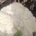 兰州有机花菜