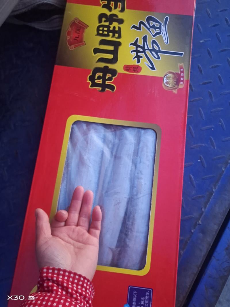 天窗礼盒带鱼！规格齐全船冻及时新货厂家直发量大从优