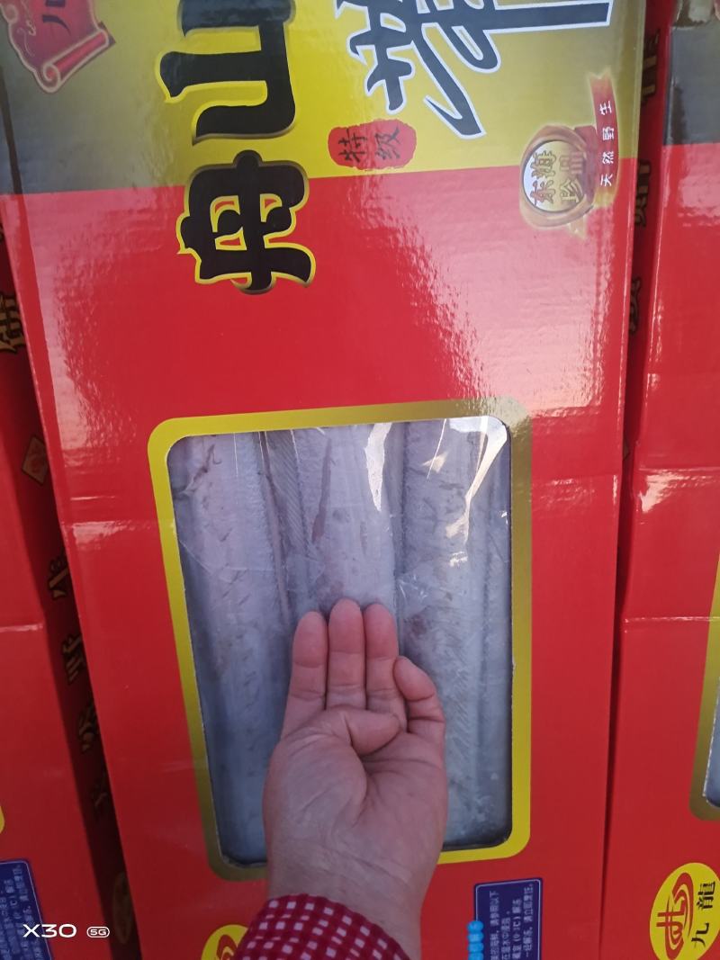 天窗礼盒带鱼！规格齐全船冻及时新货厂家直发量大从优