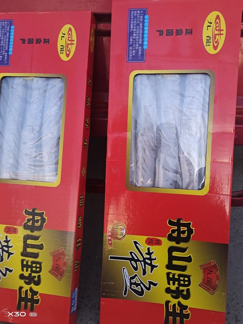 天窗礼盒带鱼！规格齐全船冻及时新货厂家直发量大从优