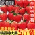 大凉山冬草莓3斤顺丰现摘现发新鲜孕妇水果牛奶红颜大草莓