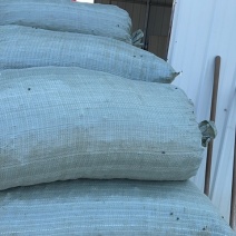 江苏泰州有机肥禽畜粪便大包纯干鸡粪水泥地晾晒无杂质常年供应