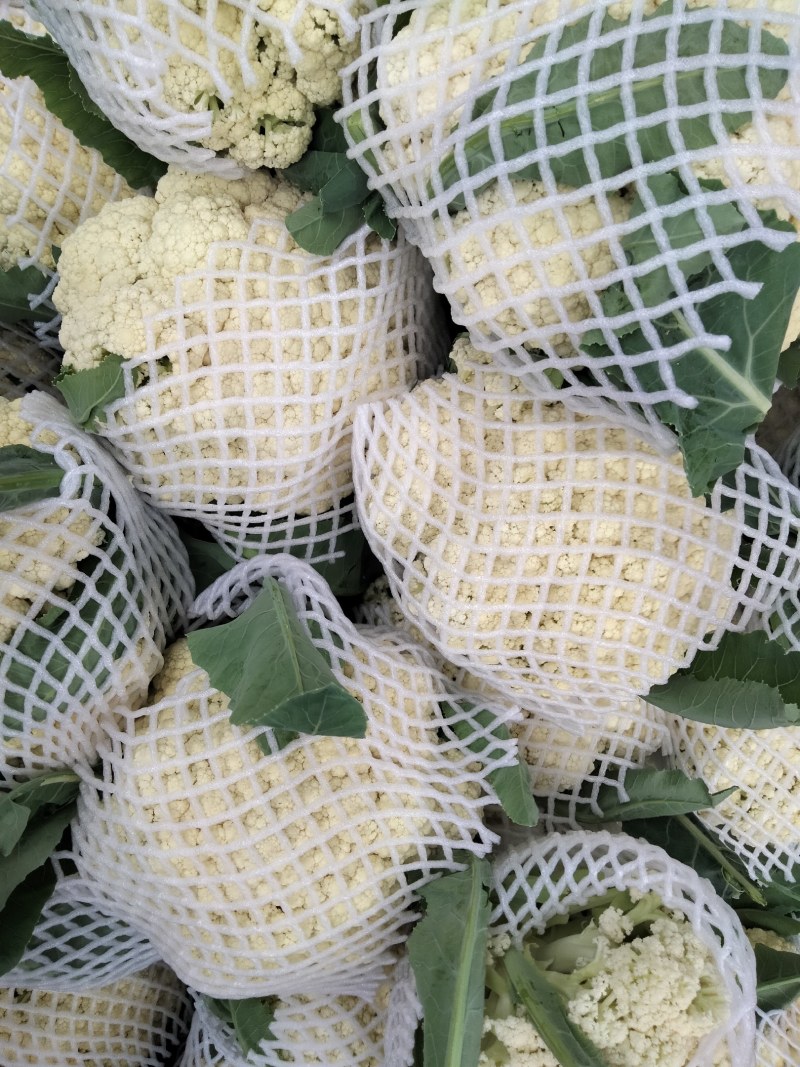 精品有机花菜，小米花大米花，青梗白面，根小叶少，货源充足