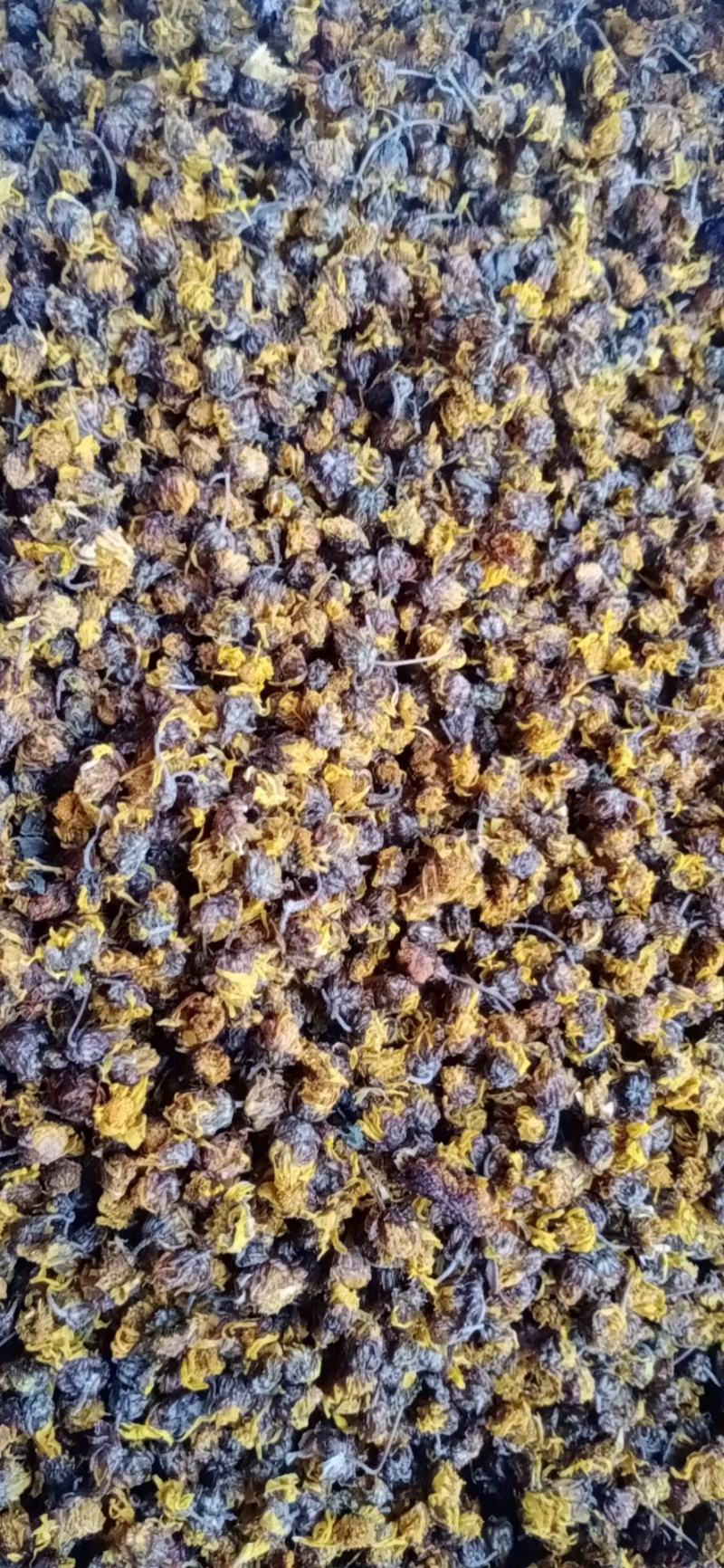 新货野生菊花干货，干净无杂，支持线上交易欢迎订购