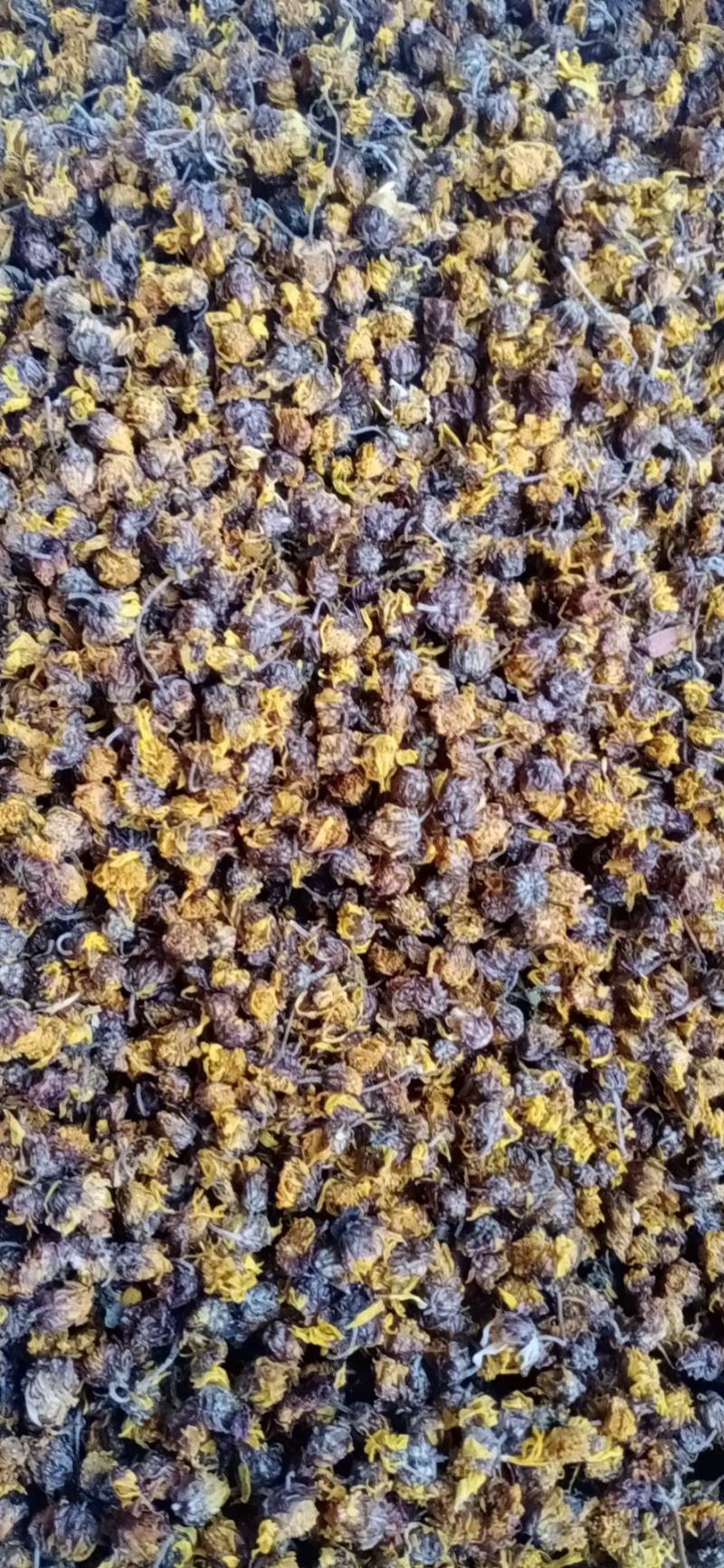 新货野生菊花干货，干净无杂，支持线上交易欢迎订购