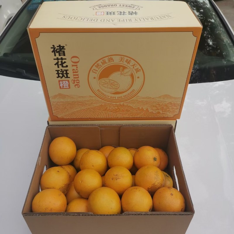 褚花斑大量有货口感纯甜支持一件代发物美价廉