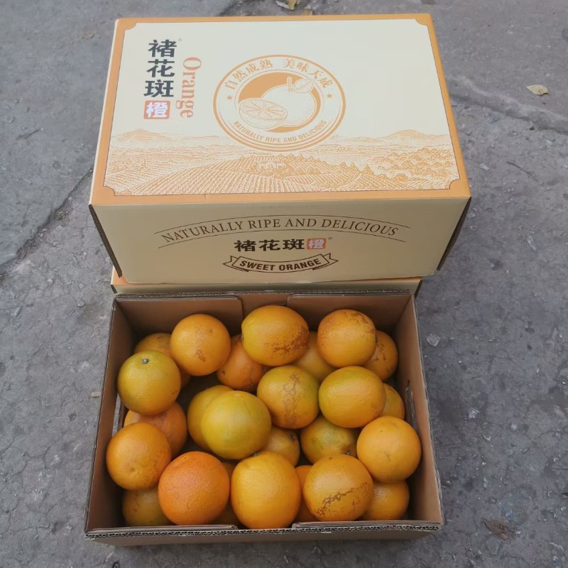 褚花斑大量有货口感纯甜支持一件代发物美价廉