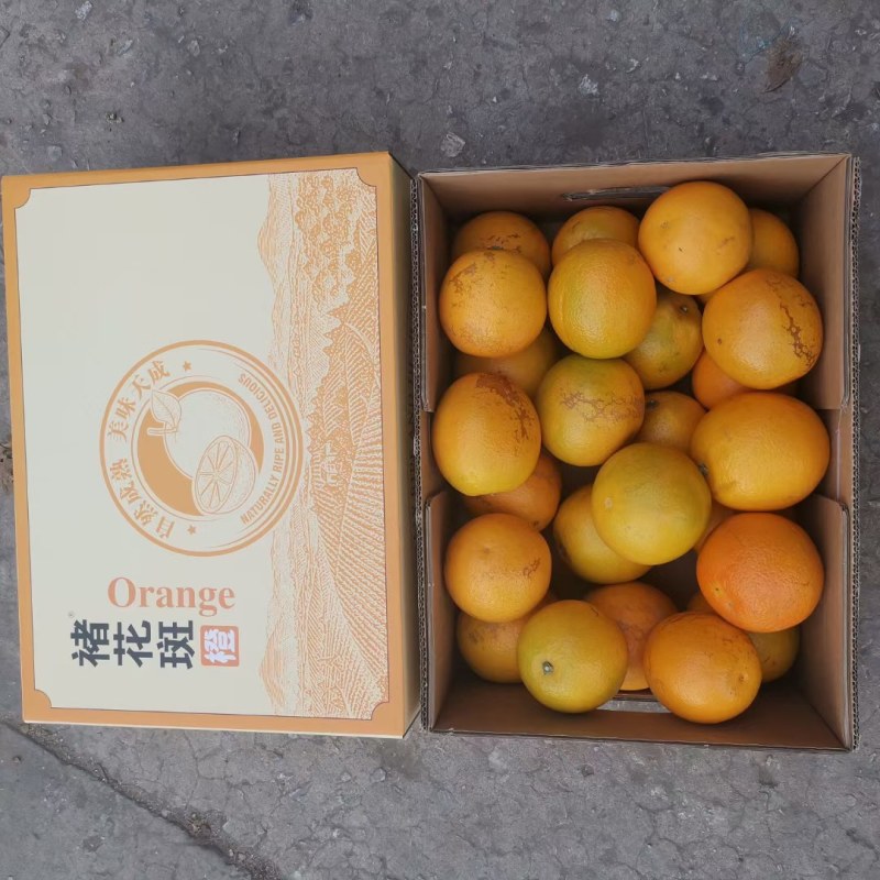 褚花斑大量有货口感纯甜支持一件代发物美价廉