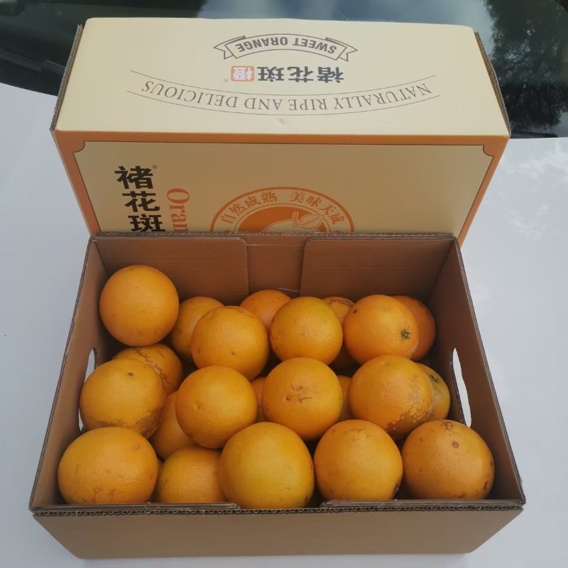 褚花斑大量有货口感纯甜支持一件代发物美价廉