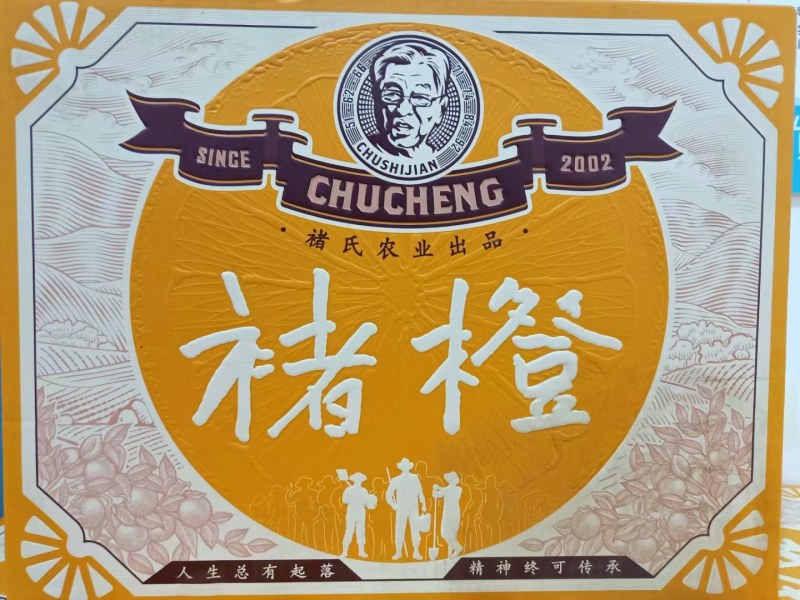 褚橙大量到货物美价廉口感纯甜全国各地可发货已上市