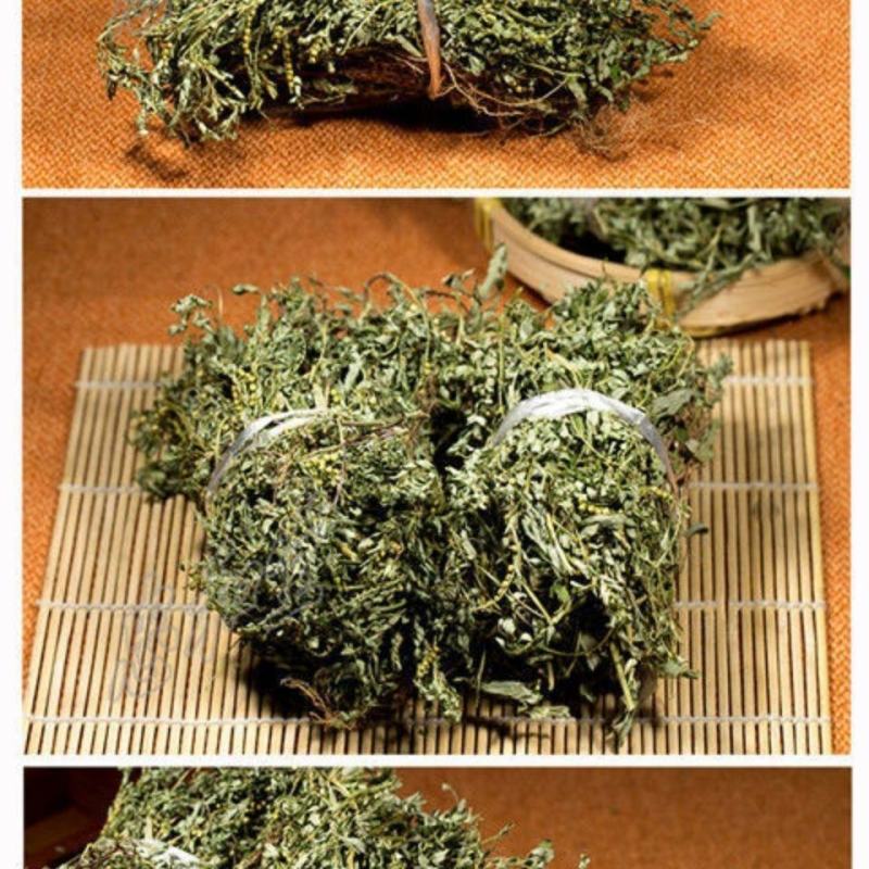 野生日晒叶下珠珍珠草夜合草珠仔草阴阳草天然草药茶中夜下珠