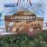 山药驼奶粗粮饼干1000克手续齐全…欢迎商超电商合作