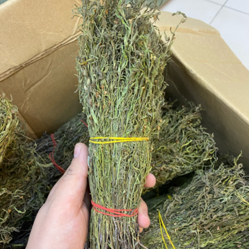 独脚金2025年新货晒干独脚柑柑积草孩儿草青绿选货