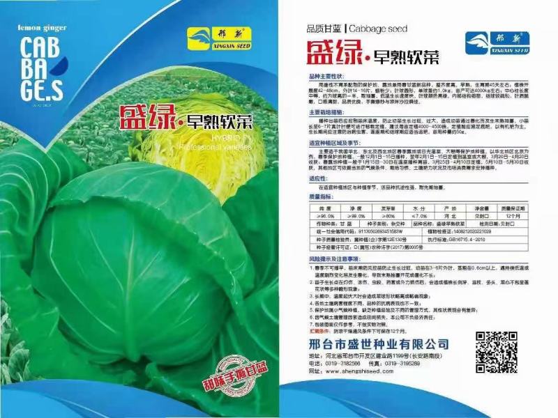 盛绿水果甘蓝种子，甜味手撕甘蓝种子