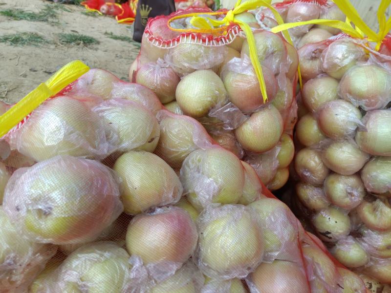 红富士苹果工厂原料，VF油炸专用
