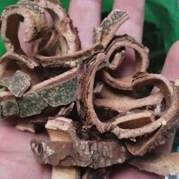 土荆皮土槿皮冷背货齐全不满意可退换货