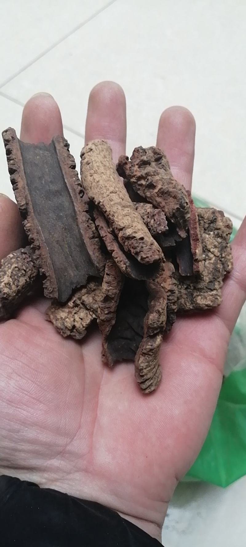 紫荆皮肉红内消紫荆木皮白林皮带抓中药