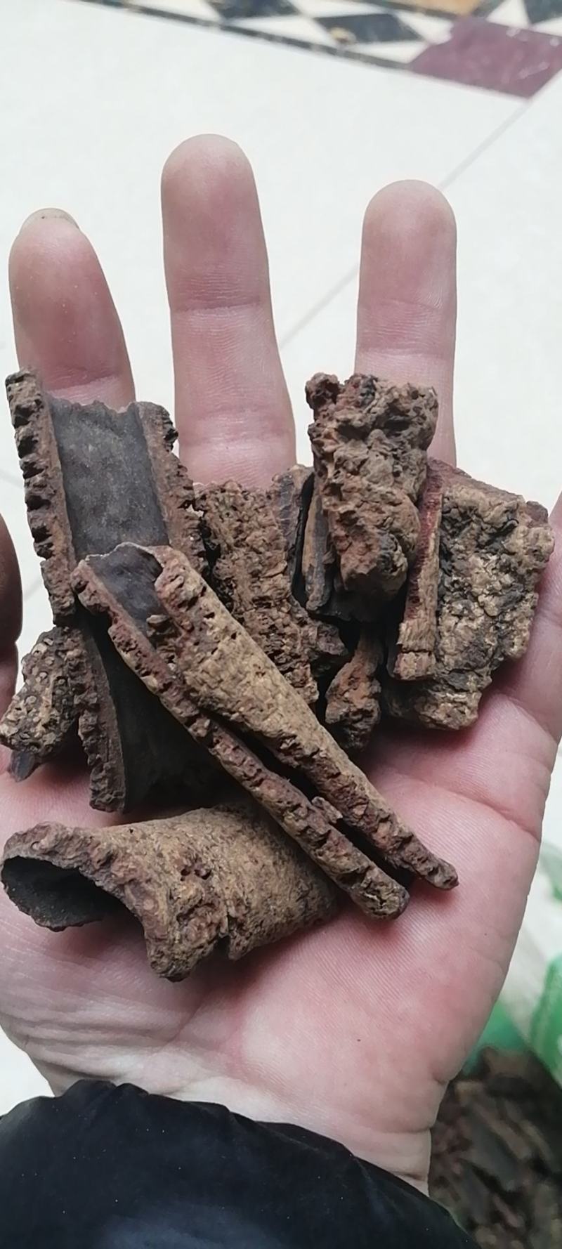 紫荆皮肉红内消紫荆木皮白林皮带抓中药