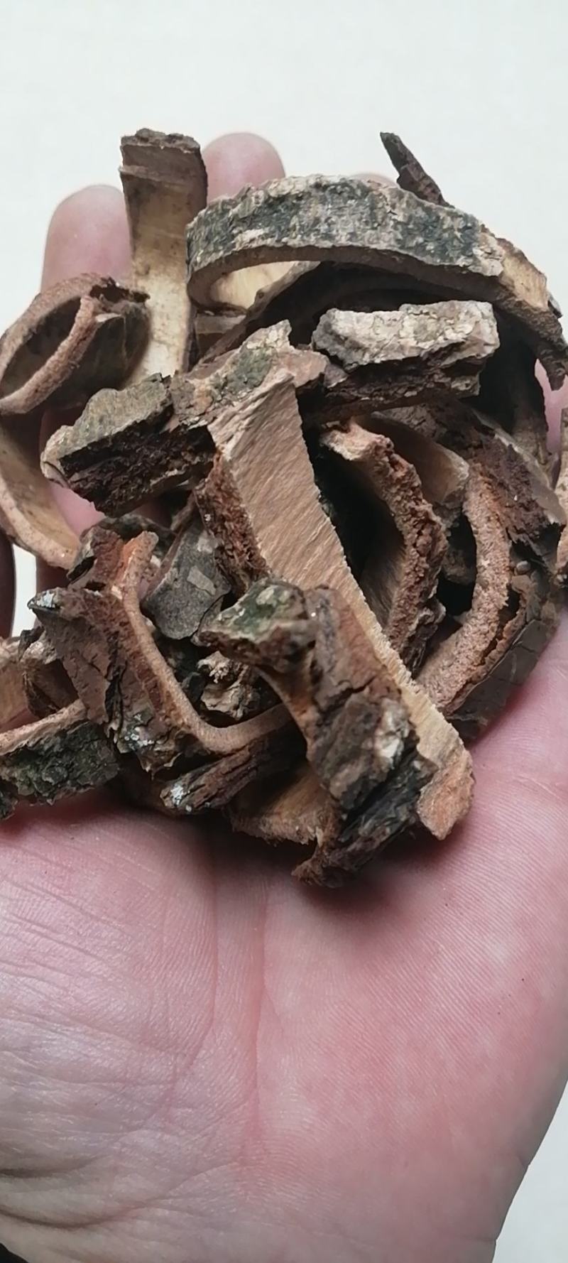 土荆皮土槿皮干货不满意可退换货不是紫荆皮