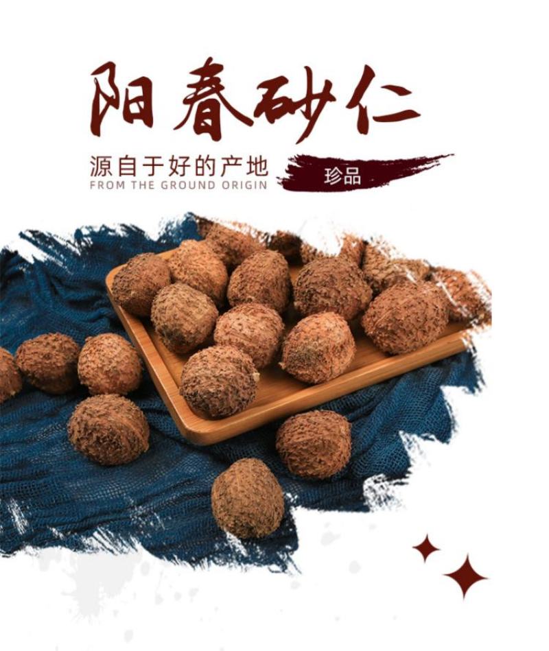 正宗阳春野生春砂仁干货干果批发产地直发挑选好香味浓郁