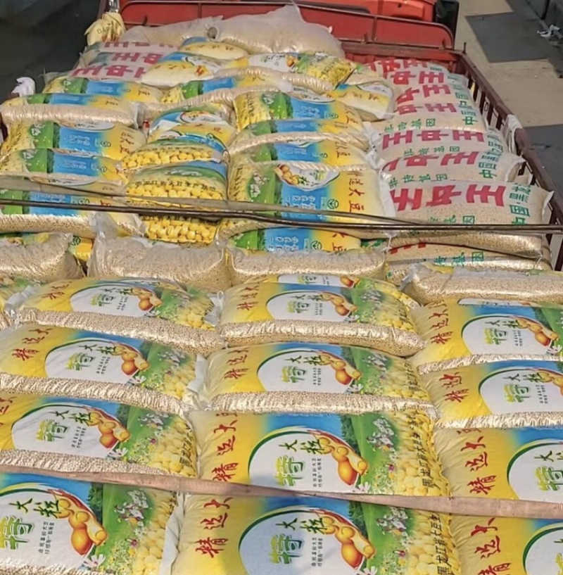 黄豆现货批发豆制品专用大粒小粒商品豆东北特产大量