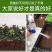 防腐木花箱碳化木花盆长方形户外庭院阳台种菜盆室外家用实木