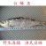 白磷鱼鱼干咸鱼渔民自晒山东日照发货一手货源